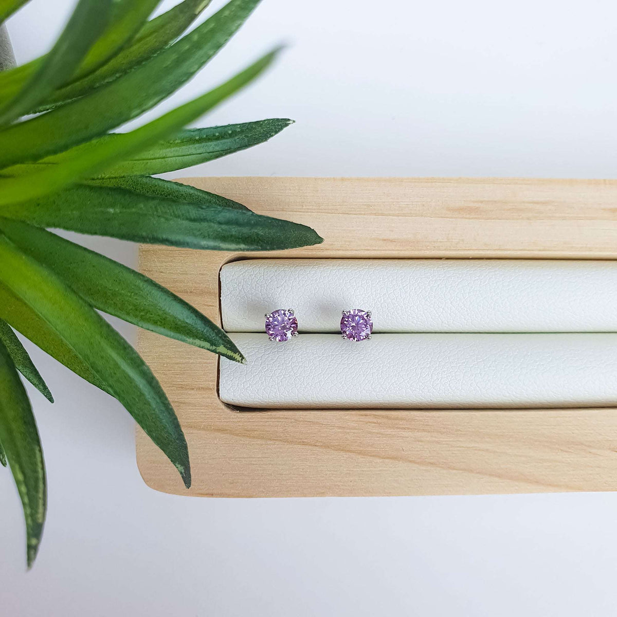 Violetsed naastkõrvarõngad on asetatud valgele ehtealusele rohelise taime kõrvale